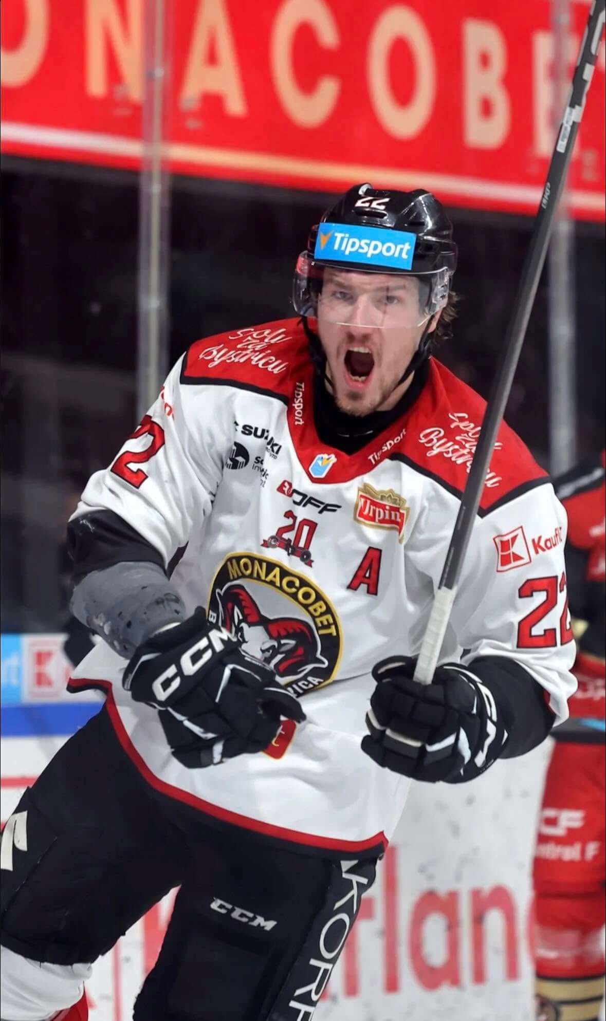 Dávid Šoltés